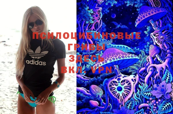 каннабис Ельня