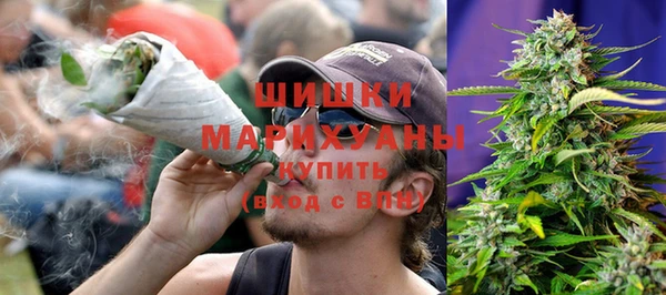 mdpv Заводоуковск