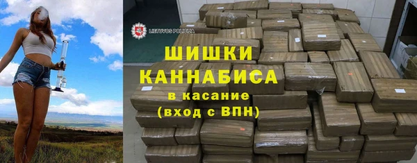 mdpv Заводоуковск