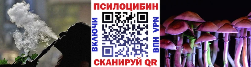 Галлюциногенные грибы Psilocybe  Купить  Борзя 